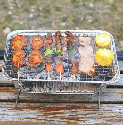 Outdoor Camping Portable Disposable Charcoal BBQ Grill with Design and 32X24X6cm Size
