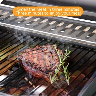 Portable Kitchen Stainless Steel Gas BBQ Grill for Smokeless Camping and Garden Party